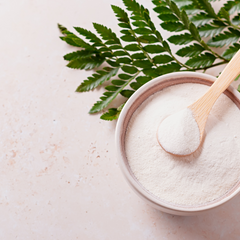 Science Behind Tallow & Collagen: How They Work for Skin Health